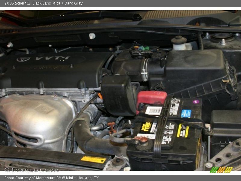 Black Sand Mica / Dark Gray 2005 Scion tC