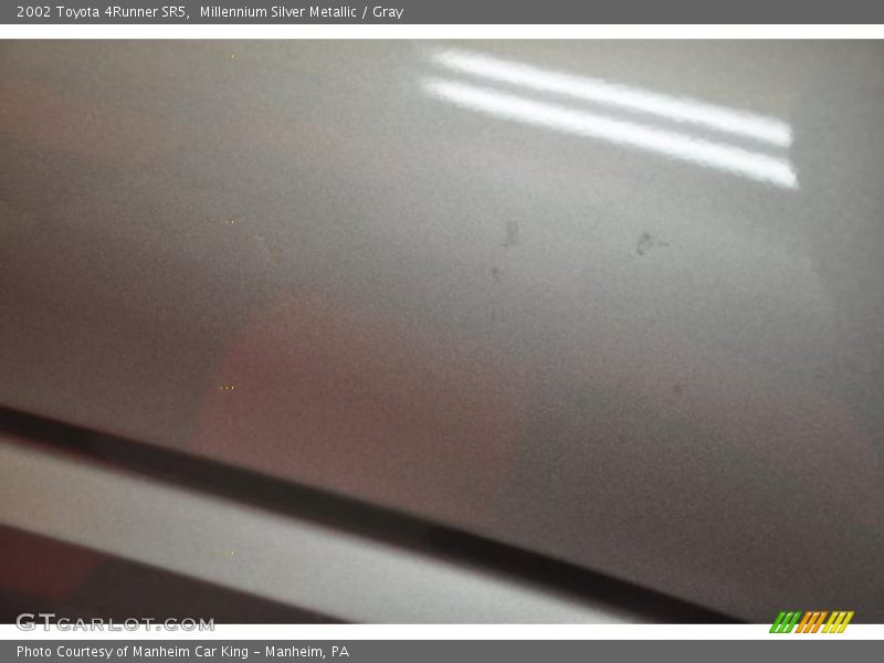 Millennium Silver Metallic / Gray 2002 Toyota 4Runner SR5