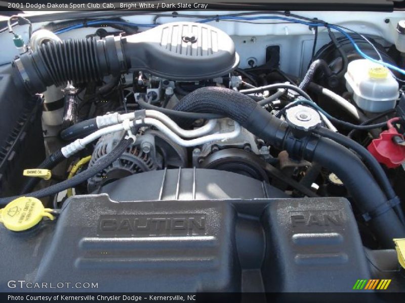 Bright White / Dark Slate Gray 2001 Dodge Dakota Sport Club Cab