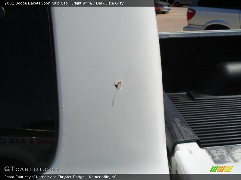 Bright White / Dark Slate Gray 2001 Dodge Dakota Sport Club Cab