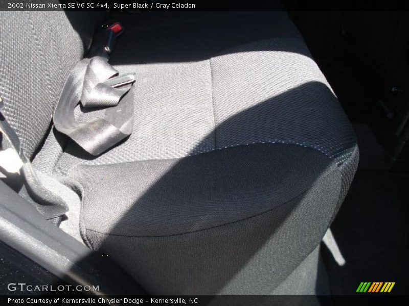 Super Black / Gray Celadon 2002 Nissan Xterra SE V6 SC 4x4