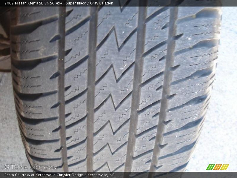 Super Black / Gray Celadon 2002 Nissan Xterra SE V6 SC 4x4