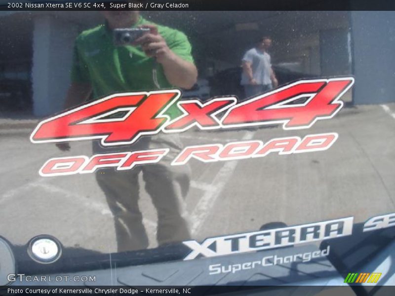Super Black / Gray Celadon 2002 Nissan Xterra SE V6 SC 4x4
