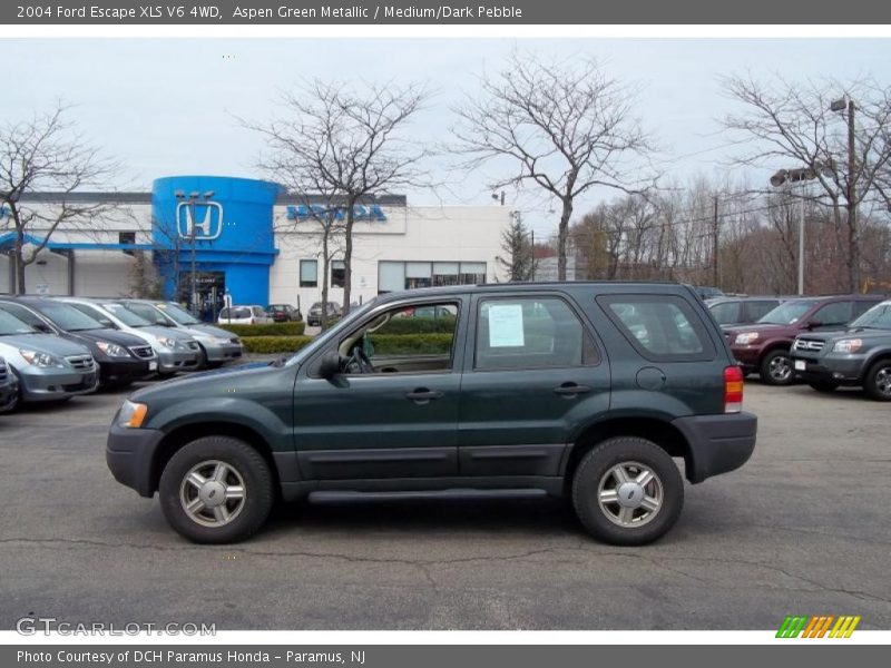 Aspen Green Metallic / Medium/Dark Pebble 2004 Ford Escape XLS V6 4WD