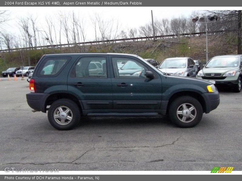Aspen Green Metallic / Medium/Dark Pebble 2004 Ford Escape XLS V6 4WD