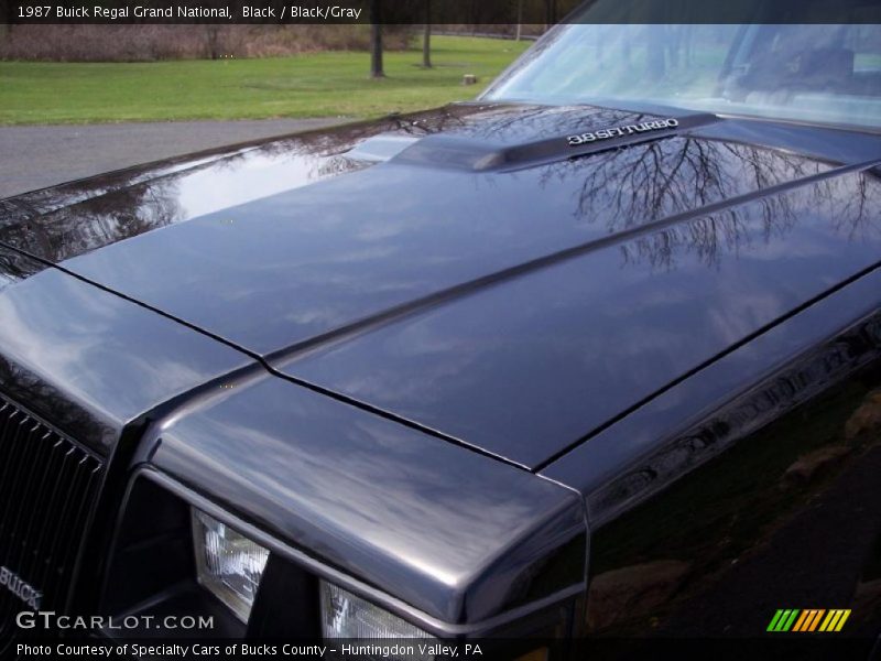 Black / Black/Gray 1987 Buick Regal Grand National