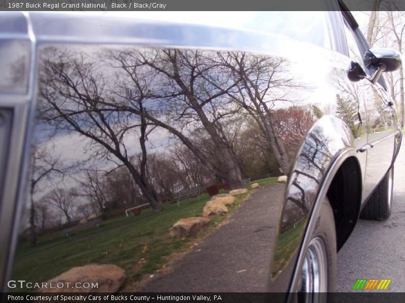 Black / Black/Gray 1987 Buick Regal Grand National