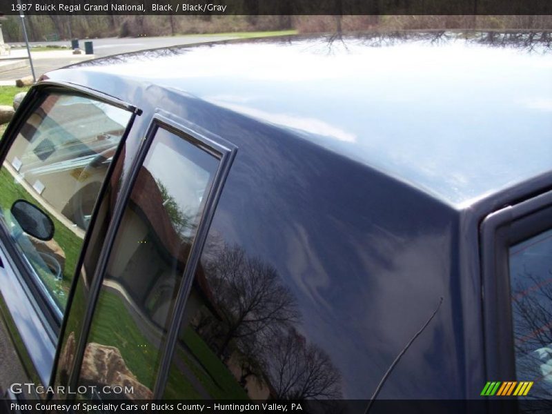 Black / Black/Gray 1987 Buick Regal Grand National