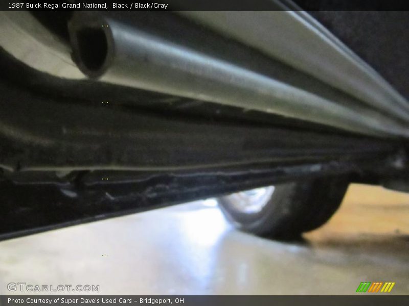 Black / Black/Gray 1987 Buick Regal Grand National