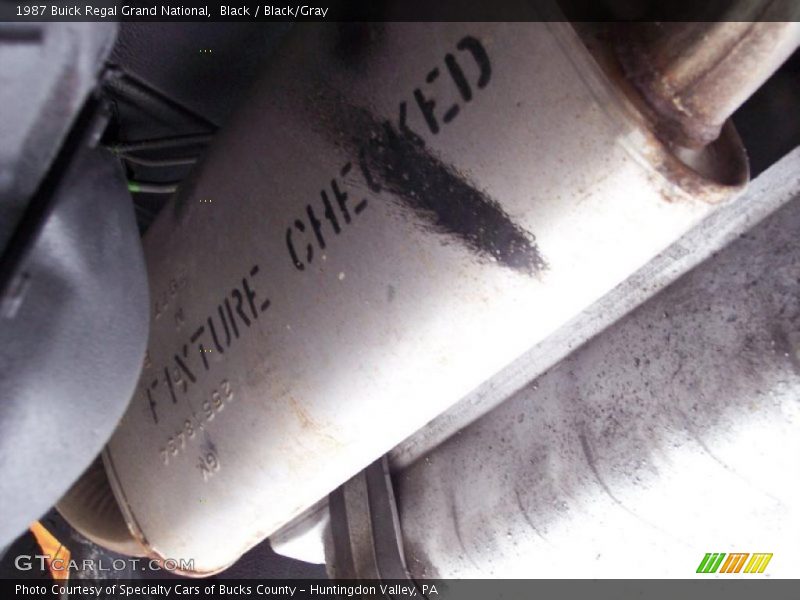 Black / Black/Gray 1987 Buick Regal Grand National