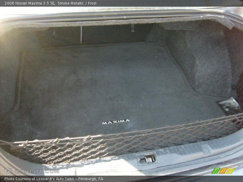 Smoke Metallic / Frost 2006 Nissan Maxima 3.5 SE