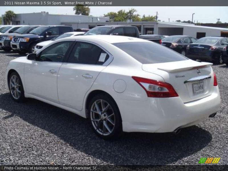  2011 Maxima 3.5 SV Sport Winter Frost White