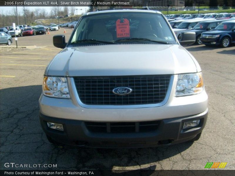 Silver Birch Metallic / Medium Parchment 2006 Ford Expedition XLT 4x4