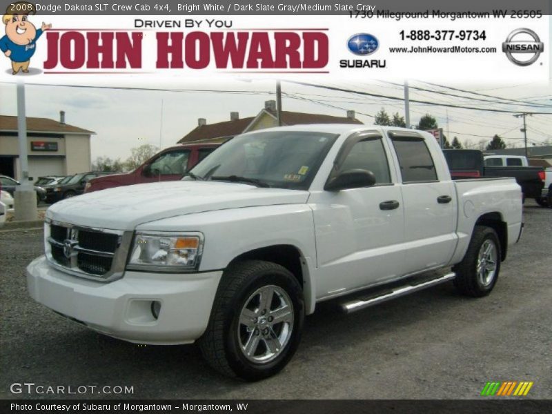 Bright White / Dark Slate Gray/Medium Slate Gray 2008 Dodge Dakota SLT Crew Cab 4x4