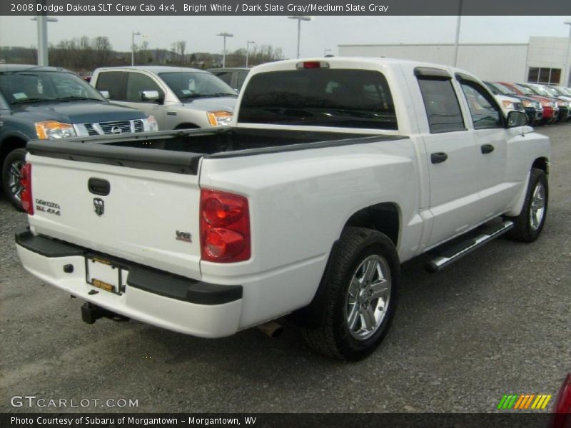 Bright White / Dark Slate Gray/Medium Slate Gray 2008 Dodge Dakota SLT Crew Cab 4x4