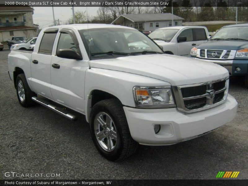 Bright White / Dark Slate Gray/Medium Slate Gray 2008 Dodge Dakota SLT Crew Cab 4x4
