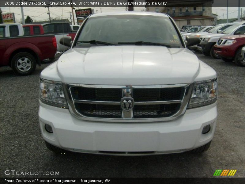Bright White / Dark Slate Gray/Medium Slate Gray 2008 Dodge Dakota SLT Crew Cab 4x4