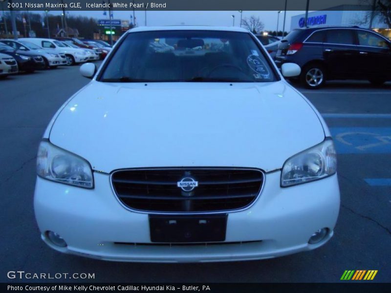 Icelandic White Pearl / Blond 2001 Nissan Maxima GLE