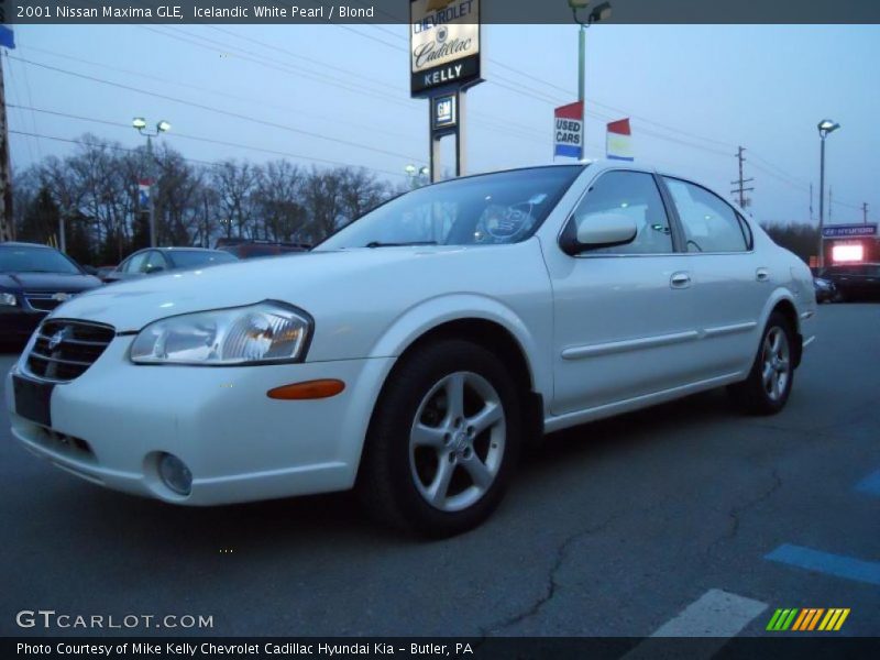 Icelandic White Pearl / Blond 2001 Nissan Maxima GLE