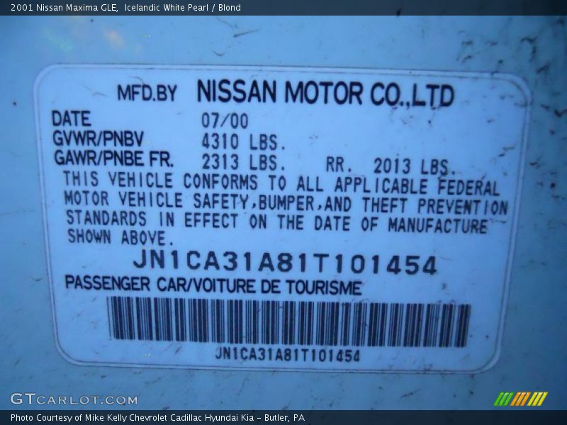 Icelandic White Pearl / Blond 2001 Nissan Maxima GLE