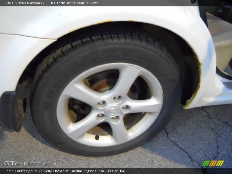 Icelandic White Pearl / Blond 2001 Nissan Maxima GLE