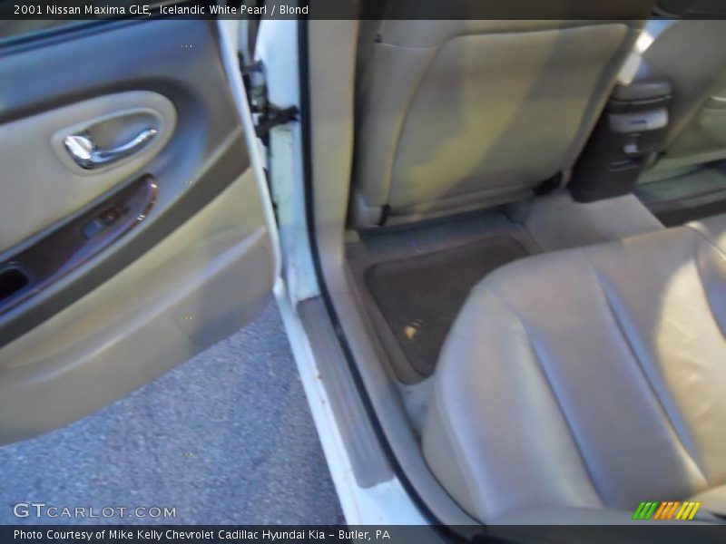 Icelandic White Pearl / Blond 2001 Nissan Maxima GLE