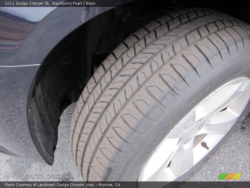 Blackberry Pearl / Black 2011 Dodge Charger SE