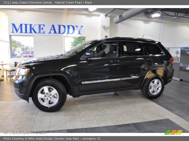 Natural Green Pearl / Black 2011 Jeep Grand Cherokee Laredo