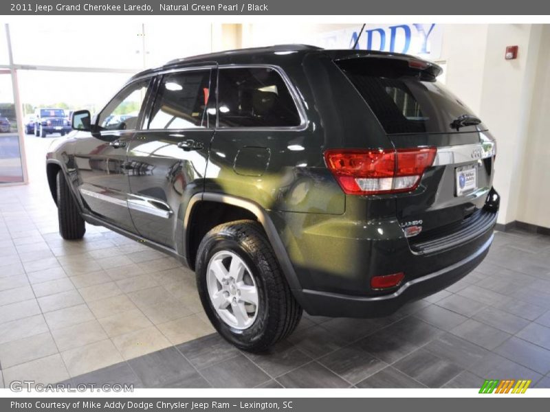Natural Green Pearl / Black 2011 Jeep Grand Cherokee Laredo