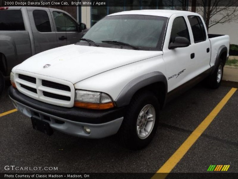 Bright White / Agate 2000 Dodge Dakota Sport Crew Cab