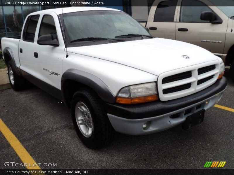 Bright White / Agate 2000 Dodge Dakota Sport Crew Cab