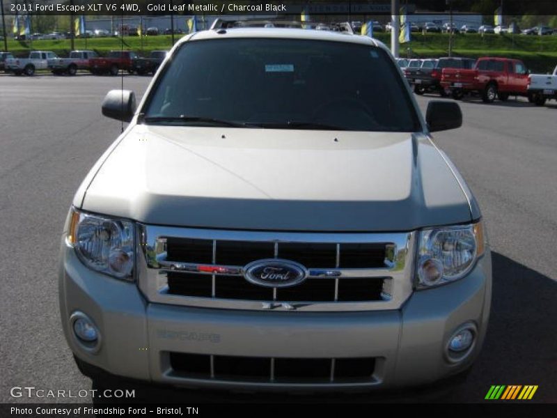 Gold Leaf Metallic / Charcoal Black 2011 Ford Escape XLT V6 4WD