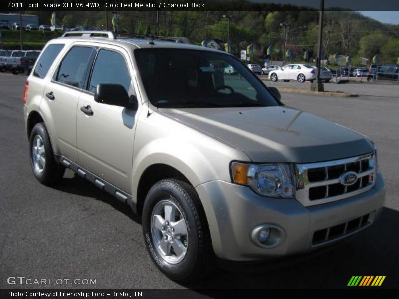 Gold Leaf Metallic / Charcoal Black 2011 Ford Escape XLT V6 4WD