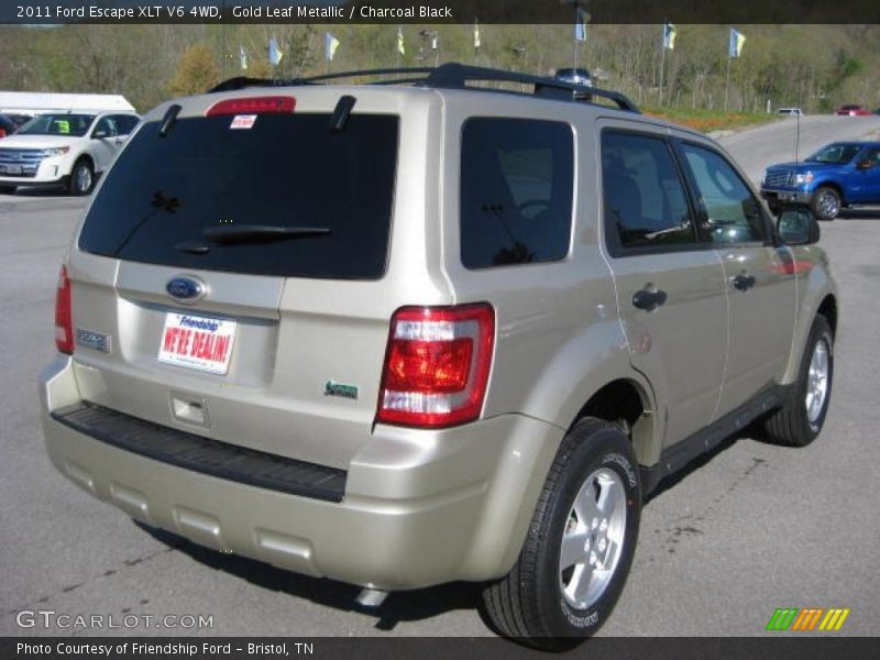 Gold Leaf Metallic / Charcoal Black 2011 Ford Escape XLT V6 4WD