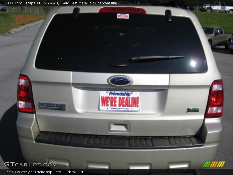 Gold Leaf Metallic / Charcoal Black 2011 Ford Escape XLT V6 4WD