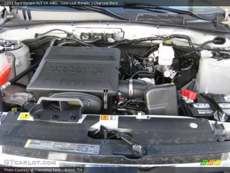 Gold Leaf Metallic / Charcoal Black 2011 Ford Escape XLT V6 4WD