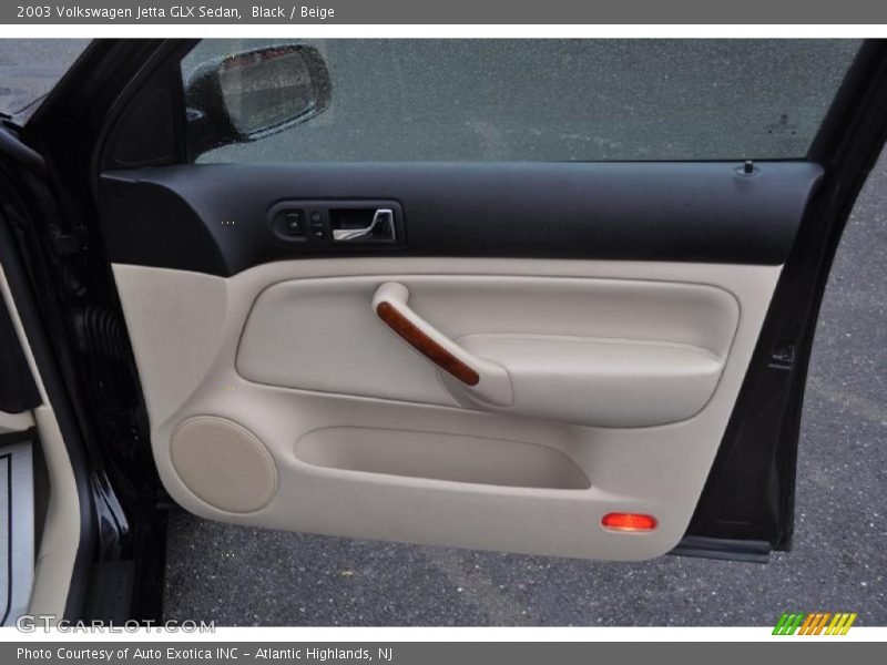 Door Panel of 2003 Jetta GLX Sedan