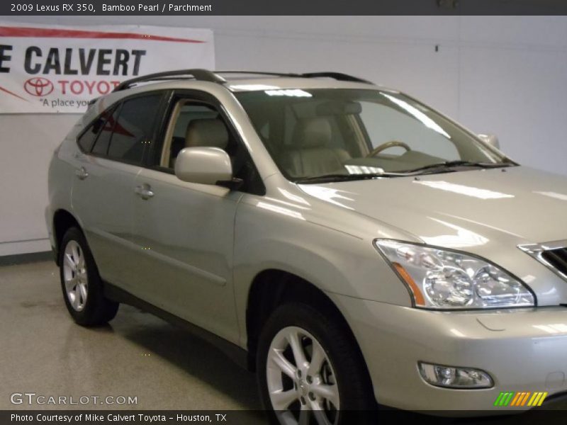 Bamboo Pearl / Parchment 2009 Lexus RX 350