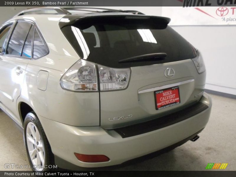 Bamboo Pearl / Parchment 2009 Lexus RX 350