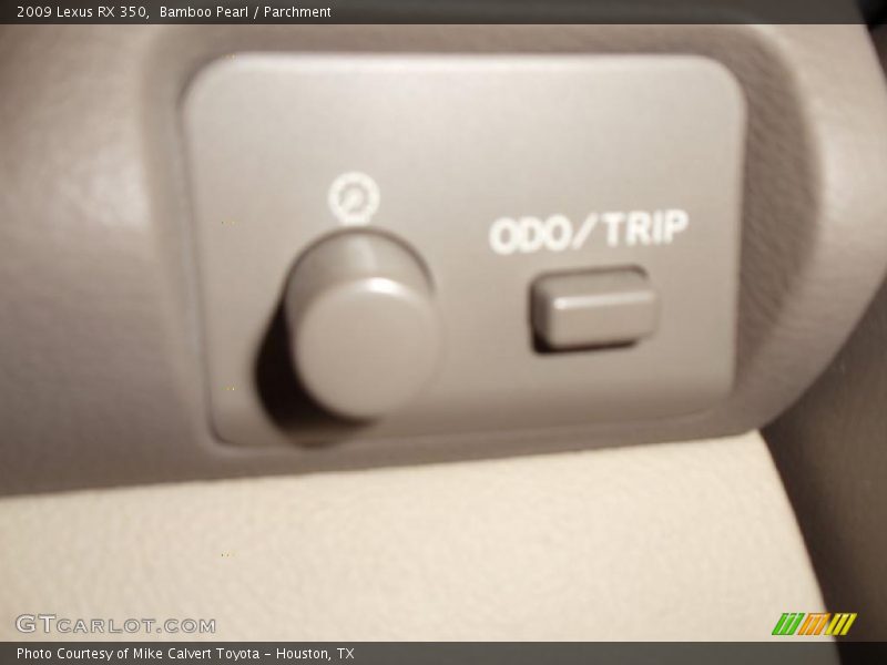 Bamboo Pearl / Parchment 2009 Lexus RX 350