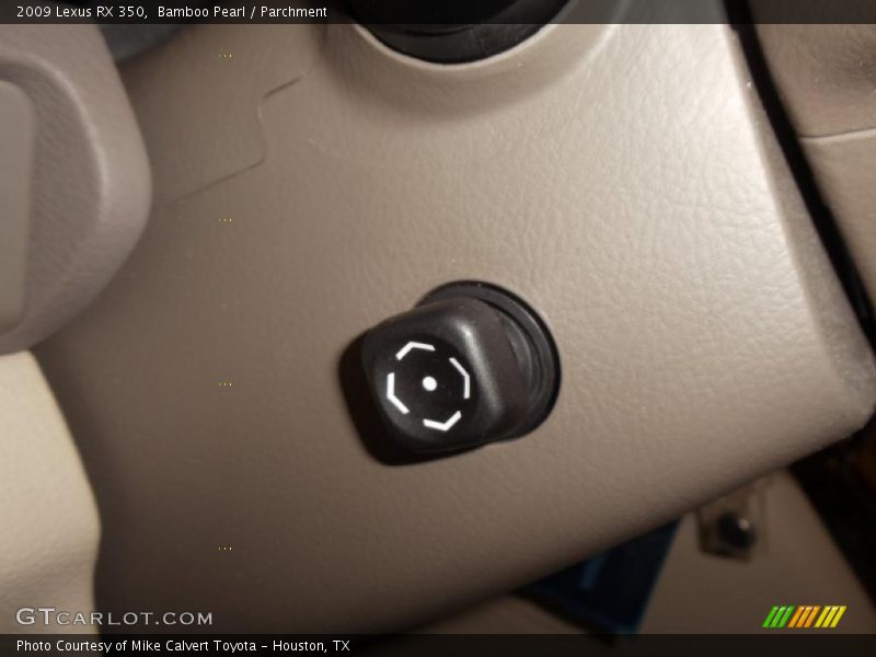 Bamboo Pearl / Parchment 2009 Lexus RX 350