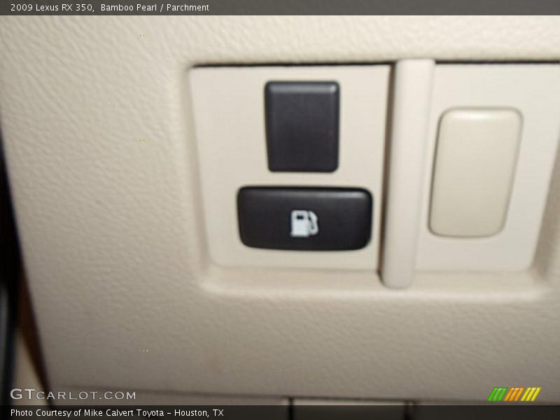 Bamboo Pearl / Parchment 2009 Lexus RX 350