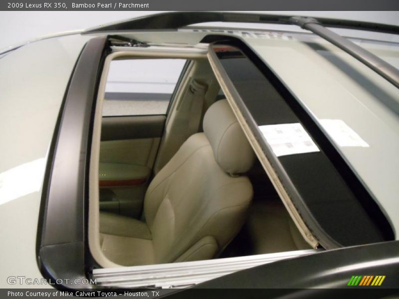 Bamboo Pearl / Parchment 2009 Lexus RX 350