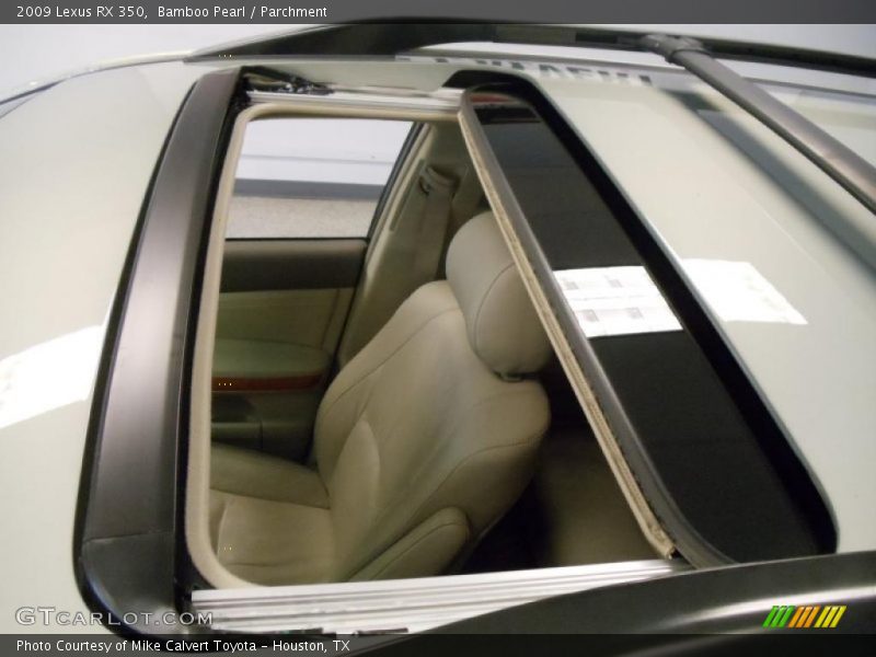 Bamboo Pearl / Parchment 2009 Lexus RX 350