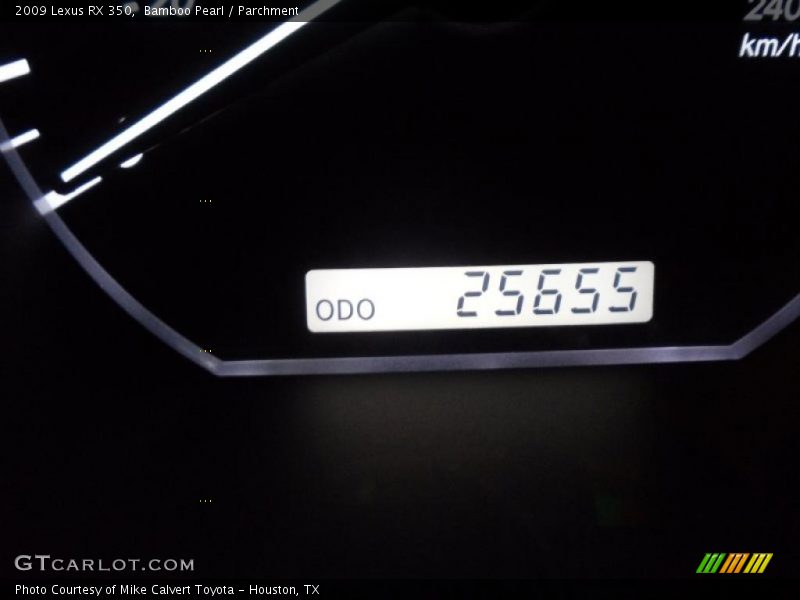 Bamboo Pearl / Parchment 2009 Lexus RX 350