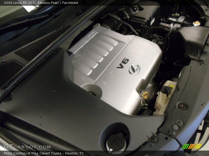 Bamboo Pearl / Parchment 2009 Lexus RX 350