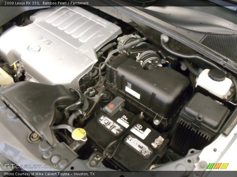 Bamboo Pearl / Parchment 2009 Lexus RX 350