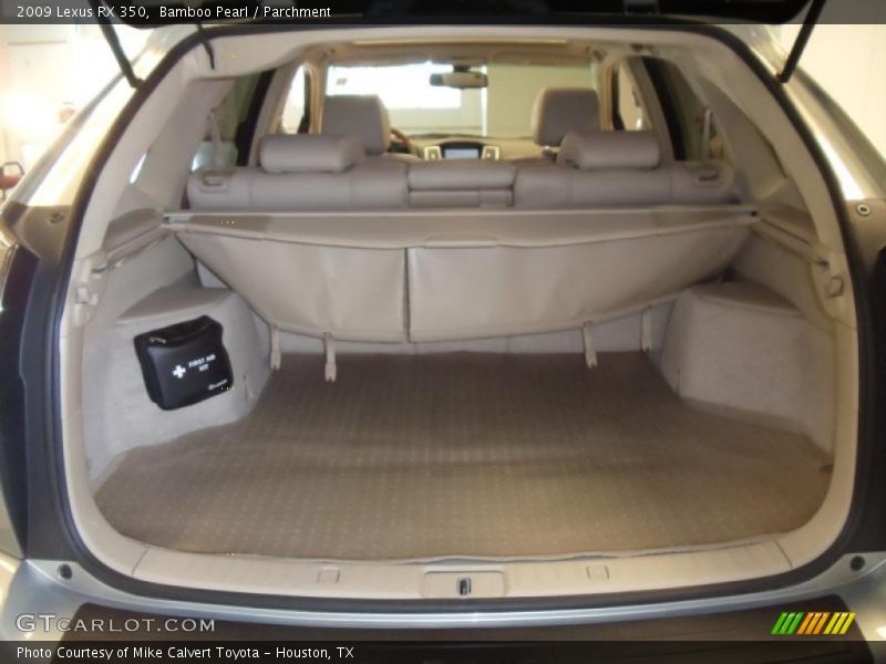 Bamboo Pearl / Parchment 2009 Lexus RX 350