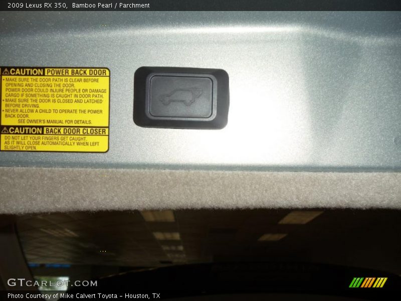 Bamboo Pearl / Parchment 2009 Lexus RX 350