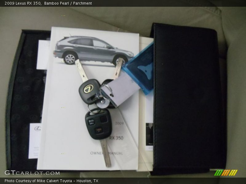 Bamboo Pearl / Parchment 2009 Lexus RX 350